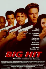 Affiche du film : Big hit