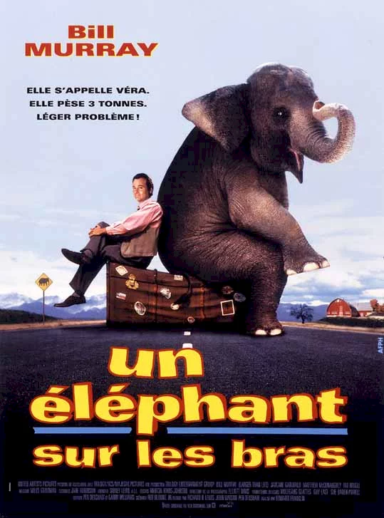 Photo 1 du film : Un elephant sur les bras