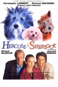 Affiche du film : Hercule et Sherlock