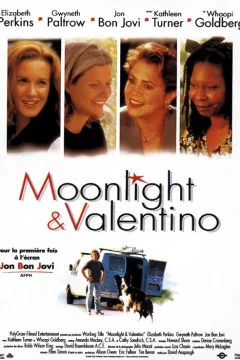 Affiche du film = Moonlight et valentino
