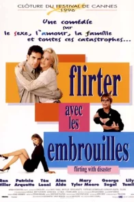 Affiche du film : Flirter avec les embrouilles