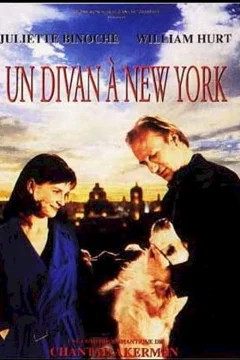Affiche du film = Un divan à New-York