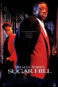 Affiche du film : Sugar hill