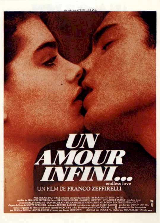 Photo 1 du film : Un amour infini
