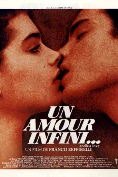 Affiche du film = Un amour infini