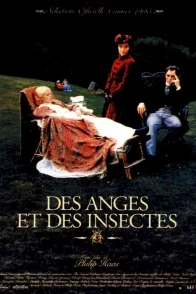 Affiche du film : Des anges et des insectes