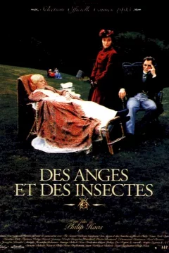 Affiche du film = Des anges et des insectes
