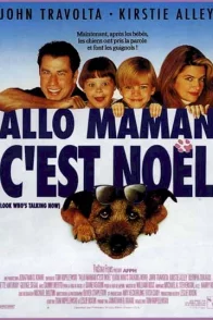 Affiche du film : Allo maman c'est noel