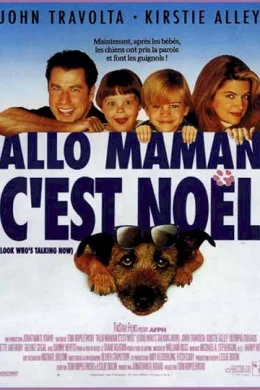 Affiche du film Allo maman c'est noel