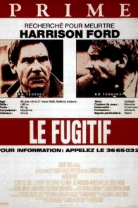 Affiche du film : Le Fugitif
