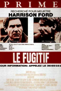 Affiche du film = Le Fugitif
