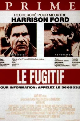 Affiche du film Le Fugitif