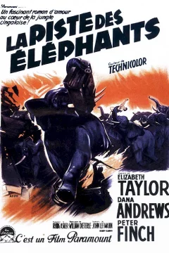 Affiche du film = La piste des elephants