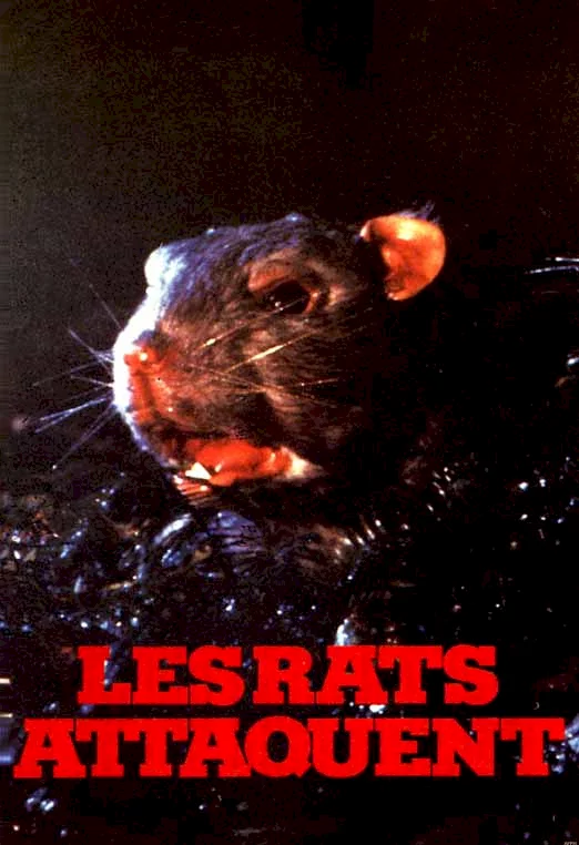Photo du film : Les rats attaquent