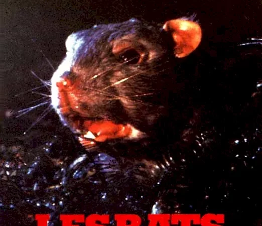 Photo du film : Les rats attaquent