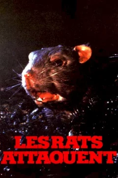 Affiche du film = Les rats attaquent