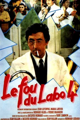 Affiche du film Le fou du labo 4
