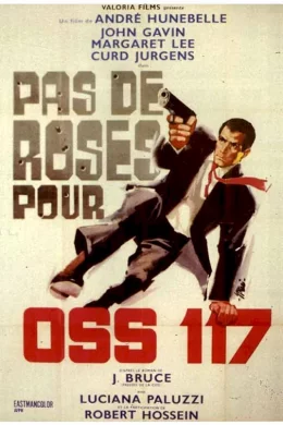 Affiche du film Pas de roses pour OSS 117
