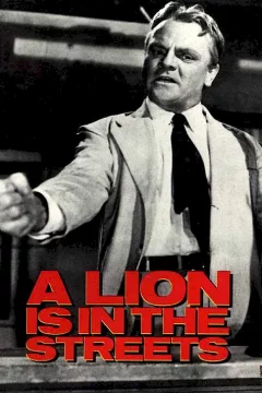 Affiche du film = Un lion dans les rues