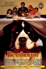 Affiche du film : Beethoven