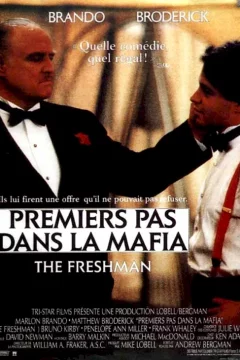 Affiche du film = Premiers pas dans la mafia