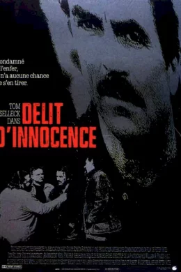 Affiche du film Délit d'innocence