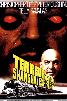 Affiche du film Terreur dans le shangai express