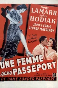 Affiche du film : La dame sans passeport