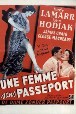 Affiche du film La dame sans passeport