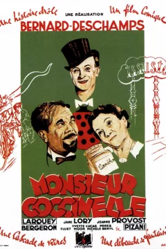 Affiche du film = Monsieur coccinelle