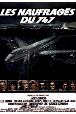 Affiche du film Les naufrages du 747