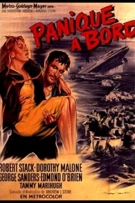Affiche du film : Panique a bord