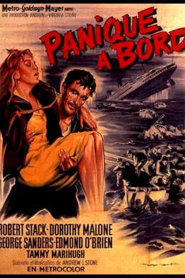 Affiche du film Panique a bord