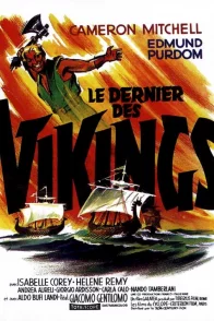 Affiche du film : Le dernier des vikings