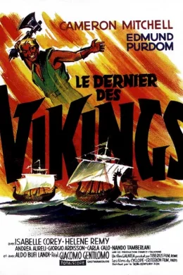 Affiche du film Le dernier des vikings