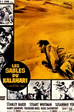 Affiche du film Les sables du kalahari