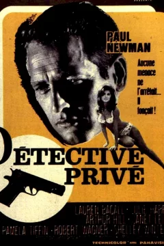 Affiche du film = Detective prive