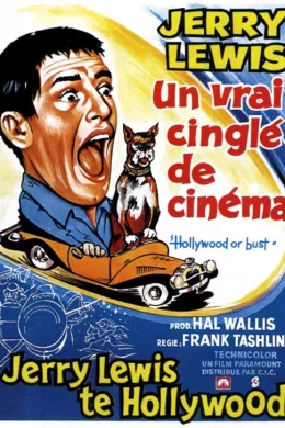Affiche du film Un vrai cinglé du cinema