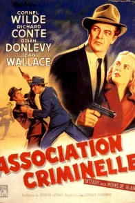 Affiche du film : Association criminelle