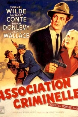 Affiche du film Association criminelle