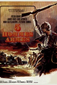 Affiche du film : 5 hommes armes