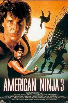 Affiche du film = American ninja 3