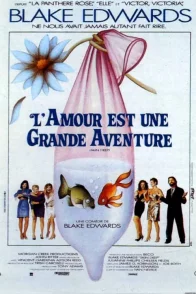 Affiche du film : L'amour est une grande aventure