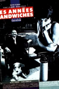 Affiche du film : Les annees sandwiches
