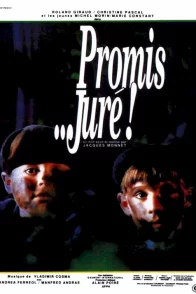 Affiche du film : Promis jure