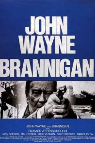Affiche du film : Brannigan