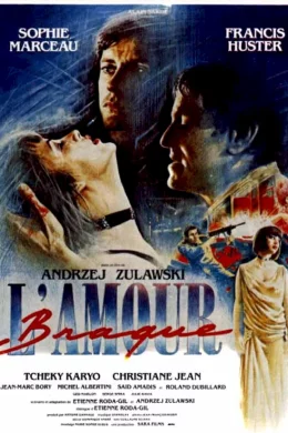 Affiche du film L'amour braque