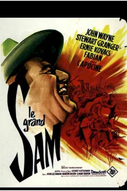 Affiche du film Le grand sam