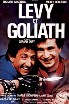 Affiche du film = Lévy et Goliath