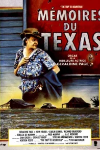 Affiche du film : Memoires du texas